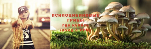 тгк Алзамай