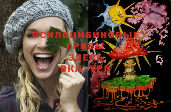 дмт Протвино