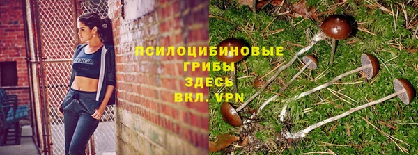 2c-b Алексин